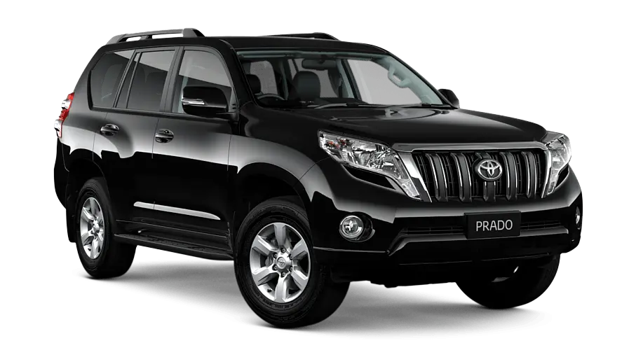 Ford Focus 2019 (Damaged)